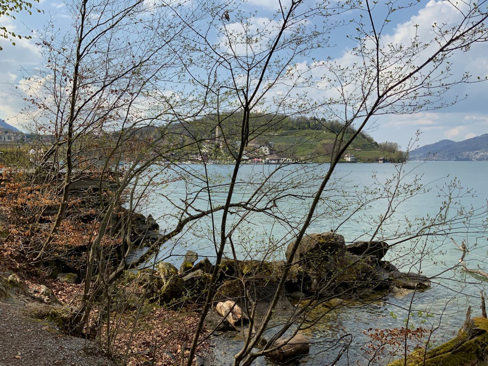 全球創新挑戰賽